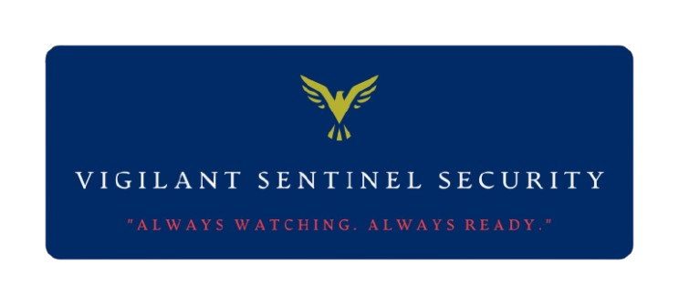 VSentinel Security Logo